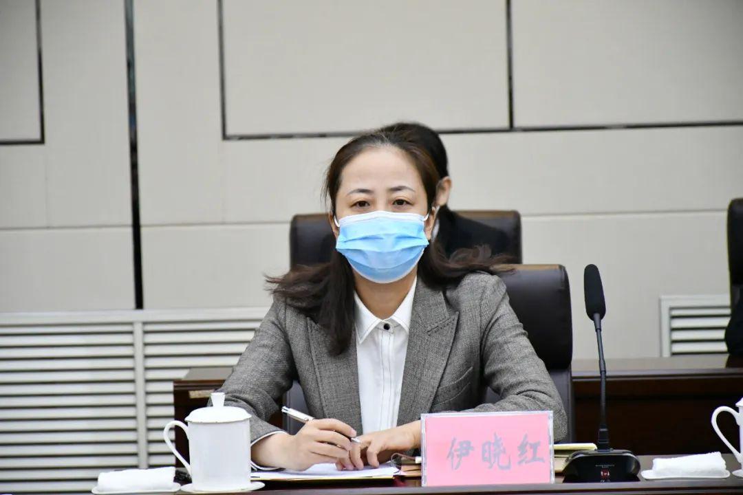 2025全年资料免费公开，全面释义、详细解答解释落实
